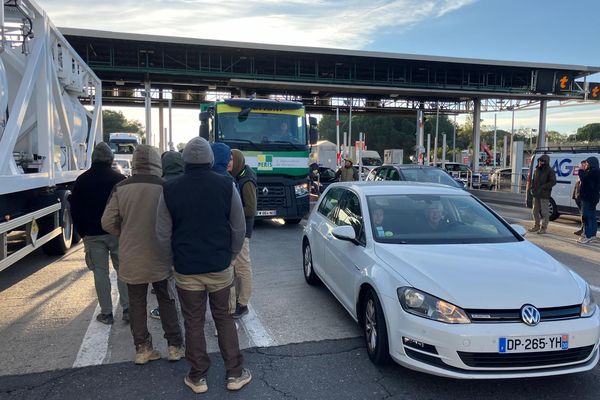 Les jeunes agriculteurs ont organisé une opération de "fortrage" des camions, jeudi 14 novembre depuis matin 7 heures, une opération de filtrage des camions au péage de Narbonne