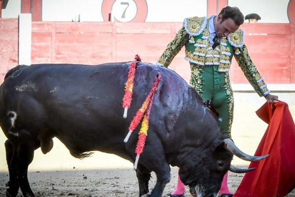 Relâchement total. Antonio Ferrera et "Bonito" de Zalduendo. Madrid, 1er juin 2019