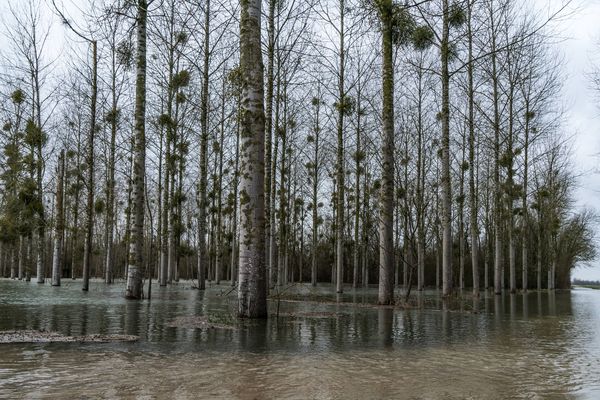 Matougue, le 5 janvier 2018