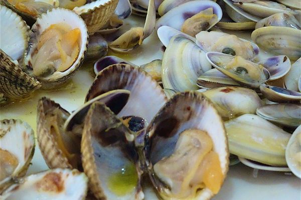 La présence du phytoplancton Dinophysis dans l’eau de mer a été mise en évidence par le réseau de surveillance de la station Ifremer.