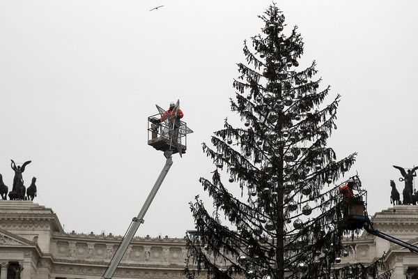 "Spelacchio", l'arbre de noël déplumé de Rome, aura une seconde vie.