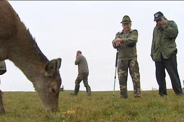 C'est finalement grâce à des chasseurs refusant de chasser que Bichette échappe à la mort pour aller couler des jours heureux en Franche Comté. 