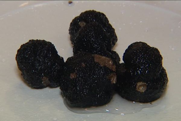 Truffes de Meuse.