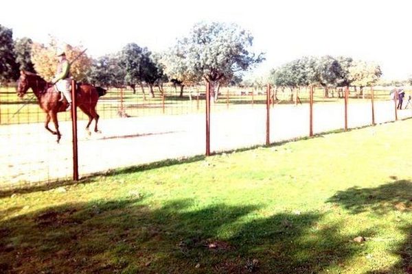 Ganaderia Pedraza de Yeltes, 70 km de Salamanque, route du Portugal. Au fond à gauche, l'équipe que vient de croiser le mayoral Curro Sanchez au galop sur le taurodrome.