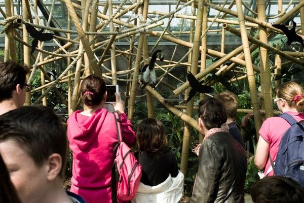 Le Zoo de Vincennes, le jour de sa réouverture