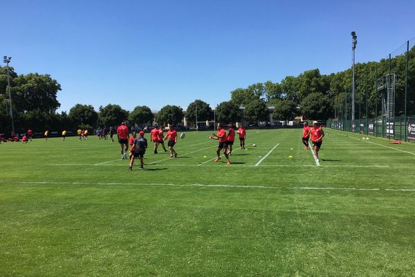 Les joueurs du Stade Toulousain ont de nouveau le droit de s'entraîner collectivement et d'échanger des ballons.