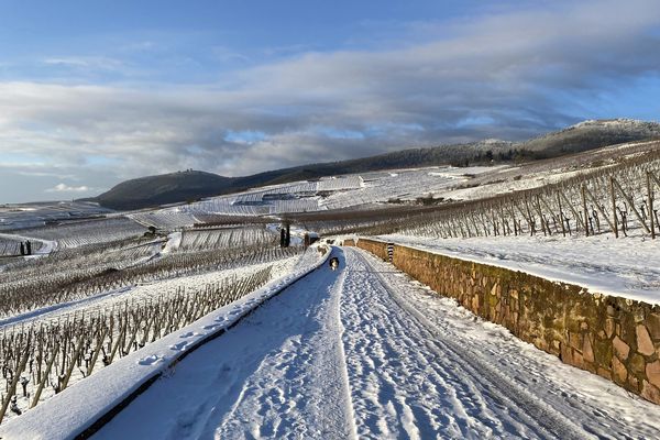 La vague de froid qui touche la moitié nord du pays serait propice à une ralentissement de la circulation du covid.