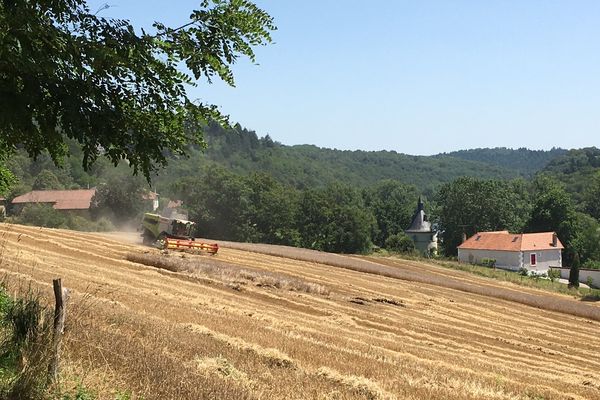 À Saint-Victurnien (87) les moissonneuses-batteuses tournent à plein régime pour rattraper le retard du début du mois.