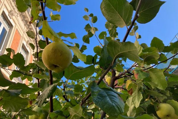 Automne et douceur sur les Hauts-de-France