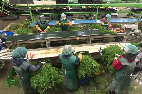 Des jeunes réfugiés vont effectuer un contrat en alternance dans cette coopérative de fruits et légumes.