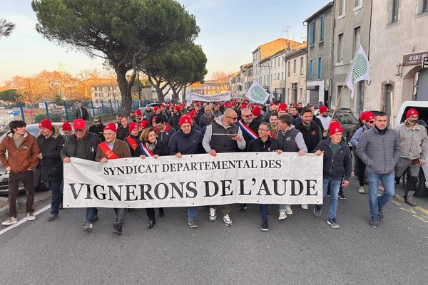 Environ 2 500 personnes (600 selon les forces de l'ordre) ont défilé dans les rues de carcassonne ce samedi 30 novembre 2024 dans l'Aude et répondu à l'appel de trois syndicats agricole dont le syndicat des vignerons agricoles du département.