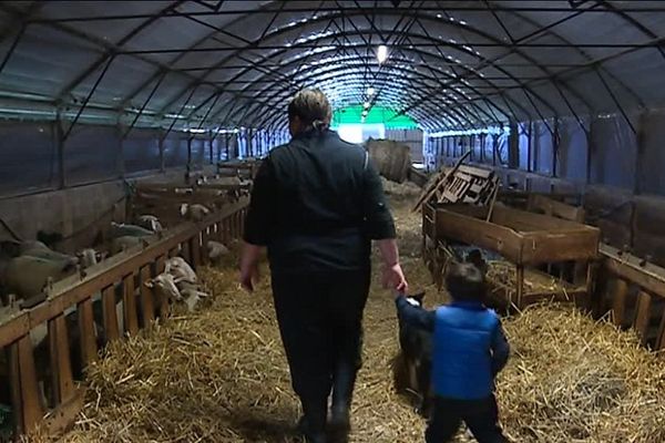 Céline Flesch a tout quitté il y a sept ans pour devenir agricultrice aux côtés de son compagnon. 