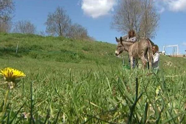 Deux exploitations agricoles de Beauzac (Haute-Loire) participent au week-end "de ferme en ferme"