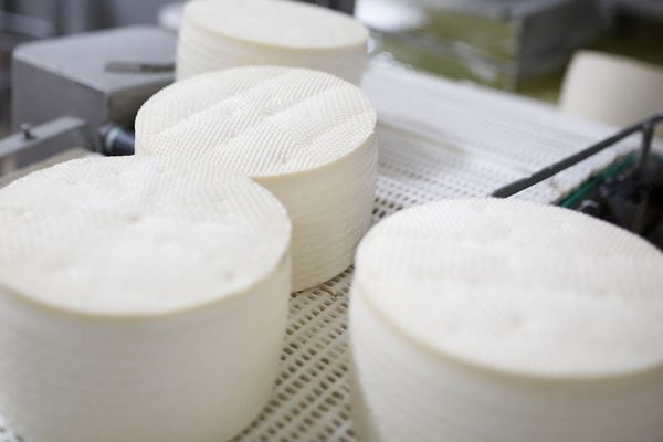 Des fromages de brebis, en Espagne - Photo d'illustration