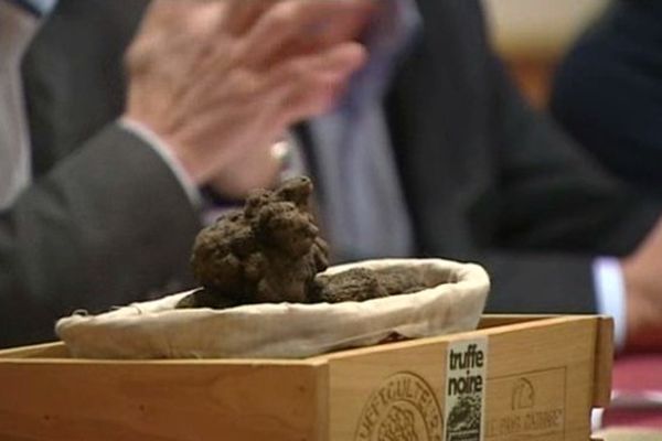 Les producteurs audois de la truffe noire annoncent une belle récolte cette saison - 6/12/2014