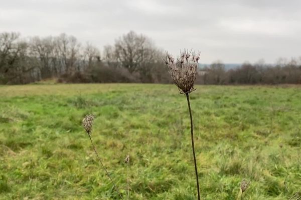 Des militants écologistes se mobilisent contre la construction d'un lotissement sur un espace naturel