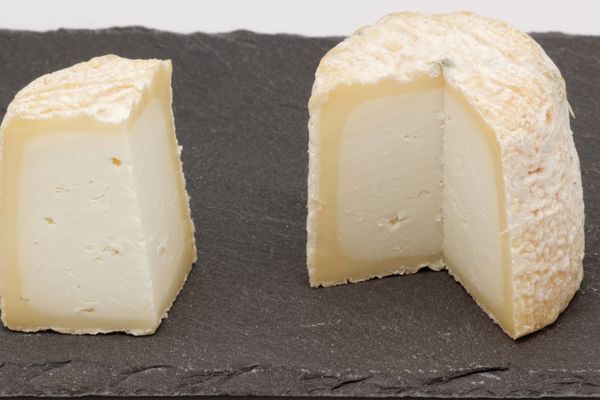 Le Chabichou, fromage originaire du Poitou, bénéficie d'une Appellation d'Origine Protégée (AOP) depuis 1996.