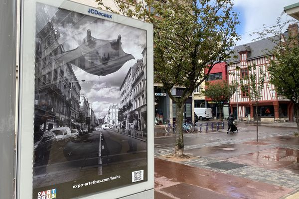 Dans la métropole de Rouen, les œuvres de 20 artistes ont pris place dans des panneaux publicitaires