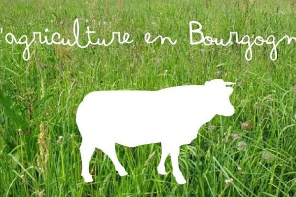 La Bourgogne est la deuxième région agricole de France