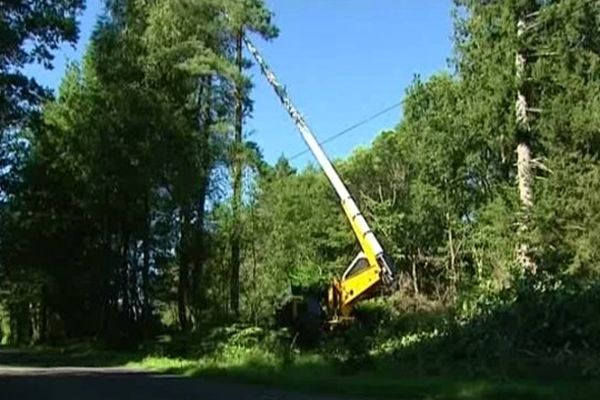 Surnommée "la girafe", cette machine insolite est un véritable concentré de technologies. Grâce à son mât qui monte à 24 mètres de haut, elle peut élaguer les arbres jusqu'à la cime.