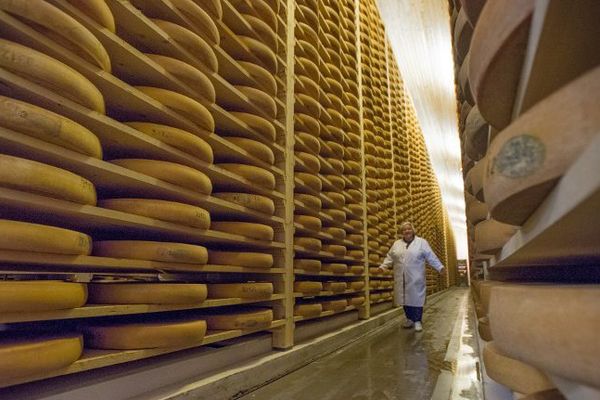 La Filière Comté Et Les Fromages Aop De Franche Comté Simaginent En 2030 