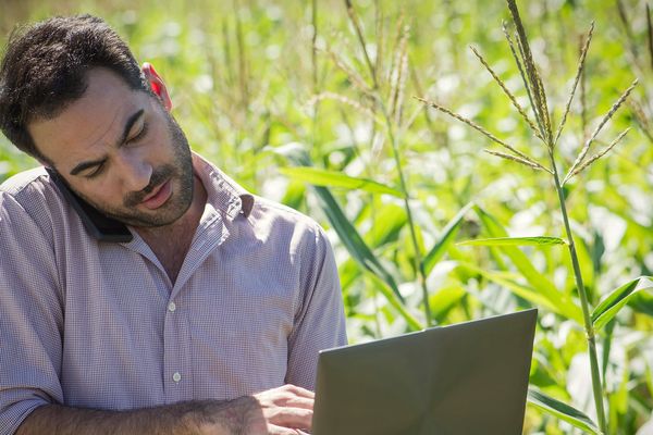 79% des agriculteurs utilisent internet : c'est plus que la moyenne française