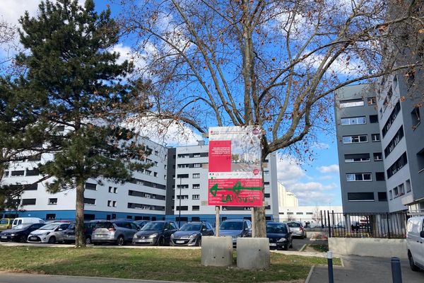 Ces flèches indiquent la direction d'un point de deal du quartier de Fontbarlettes à Valence, c'est dans cette rue que l'adolescent a été blessé