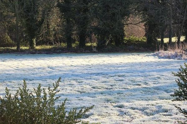 Ambiance d'hiver janvier 2015 à Plaintel