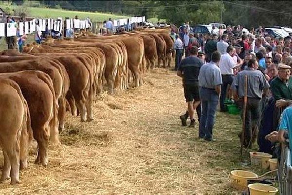 Le comice de Lagraulière a été l'occasion pour les éleveurs d'aborder l'avenir de l'agriculture