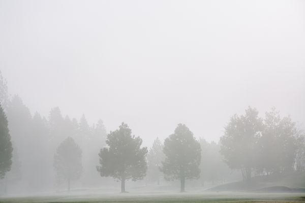 Les prévisions météo, mercredi 25 décembre 2024 dans les Hauts-de-France.