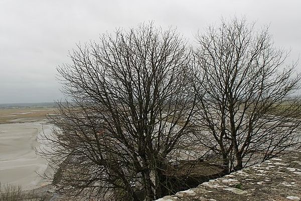 Nuages, pluies et vent ce jeudi en Normandie