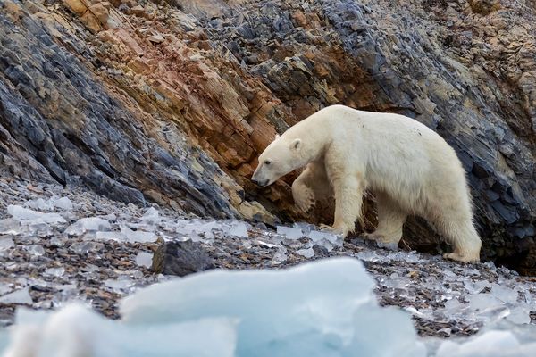 Le réchauffement climatique va-t-il se poursuivre ?