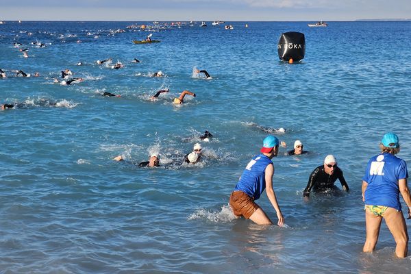 Nice (Alpes-Maritimes) : Les premiers nageurs sortent de l'eau après l'épreuve de natation de l'Ironman.