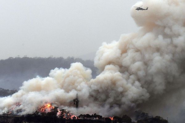 Selon les autorités, plus de 8 millions d'hectares sont déjà partis en fumée en Australie.