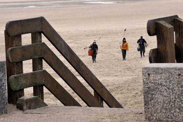 Des pêcheurs remontent la plage de Berck-sur-Mer