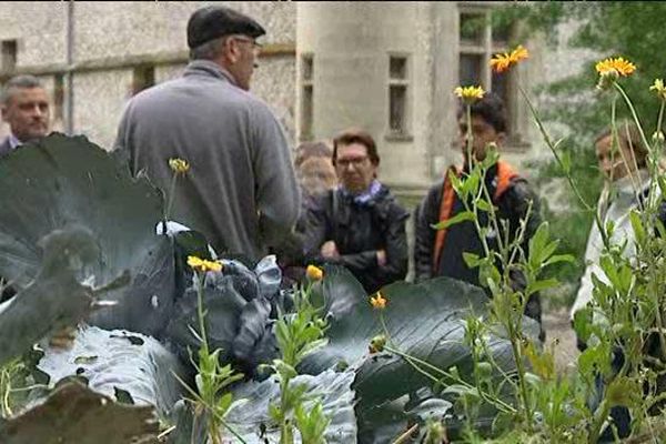 Un cours d'initiation dans les jardins du château de Grosmesnil