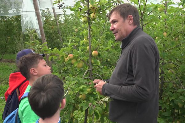 Les enfants écoutent attentivement les explications du pomiculteur, le 20 septembre 2024, en Haute-Vienne.