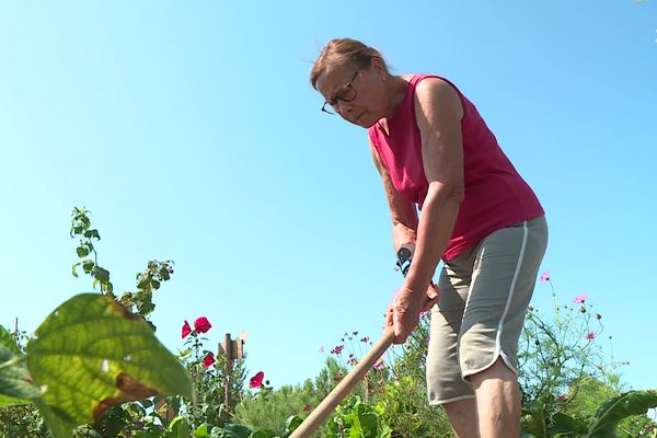 Nicole vient tous les jours à son jardin à Tournefeuille pour s'occuper de ses légumes et de ses fleurs et s'assurer de leur bonne santé dans ce contexte de grosses chaleurs.