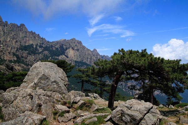 C'est sur les chemins de randonnée qui mènent de l'extrême sud à l'Alta Rocca que pourrait avoir disparu le quinquagénaire.