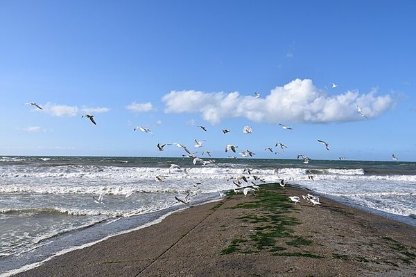 Éclaircies sur l'est de la région jusqu'en fin d'après-midi