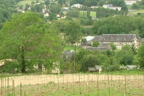 La vigne d'Allassac domine le village et l'école