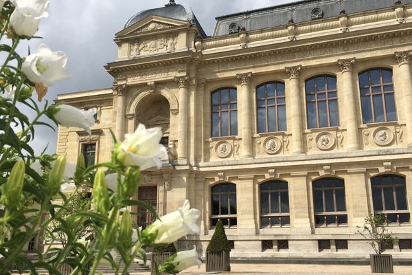 Le Muséum national d'histoire naturelle, à Paris.