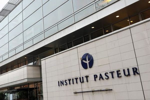 C'est l'Institut Pasteur qui a analysé le cadavre de la chauve-souris