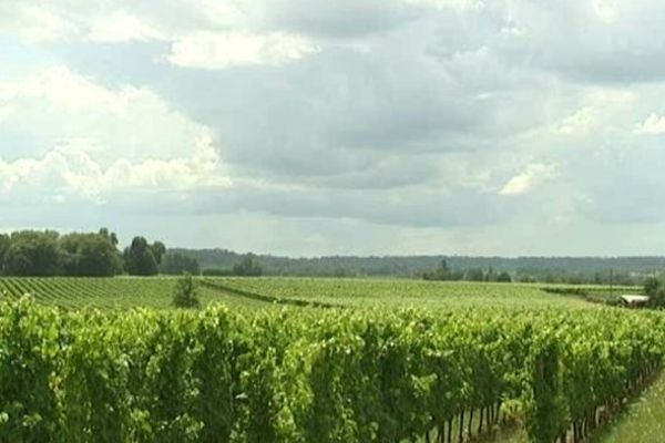 Promenades gourmandes et festives dans les caves de Rauzan encore aujourd'hui