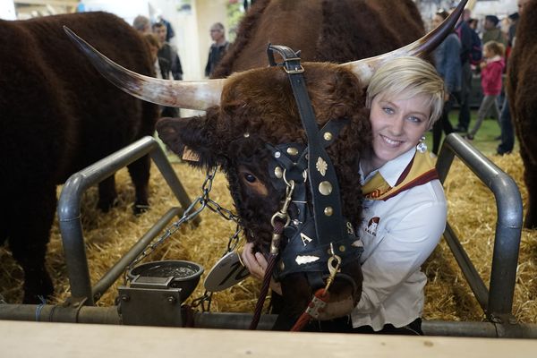 Sophie et Mabrouck sont prêts à monter sur le ring au salon de l'agriculture à Paris, mercredi 27 février. 