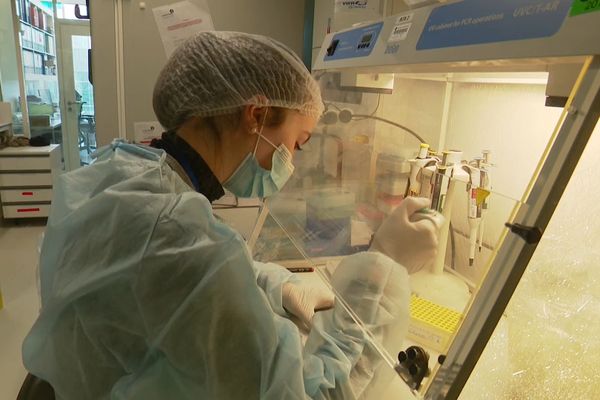 Au sein d'un des laboratoires de l'Institut Pasteur dans le 15e arrondissement de Paris.