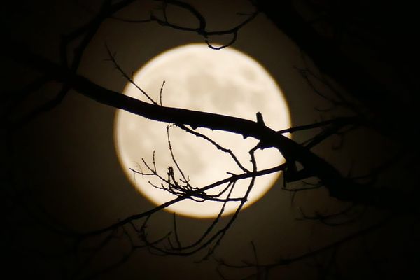 Après la pleine lune des moissons, des chasseurs, référence amérindienne, la pleine lune dite du Castor a illuminé le ciel ce vendredi 15 novembre.