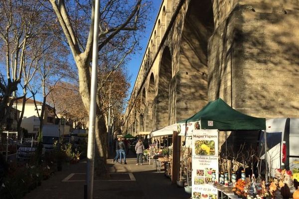 Adossé aux arceaux de l'aqueduc,le marché aux fleurs profite en ce moment du soleil de Montpellier.