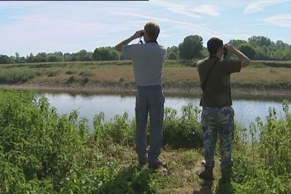 La réserve naturelle nationale de l'Ile du Girard, réputée pour l'observation des oiseaux.