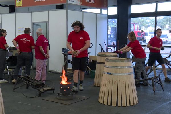 Les Olympiades des métiers se déroulent du 20 au 22 octobre, au parc des expositions de Bordeaux.